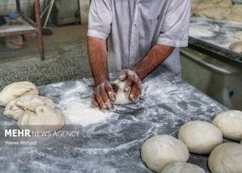 آیا اصلاح یارانه نان بدون شوک قیمتی ممکن است؟ / بررسی سناریوهای دولت و تاثیر بر سفره مردم / نکات مهم برای مصرف‌کنندگان و پیش‌بینی تغییرات احتمالی قیمت نان