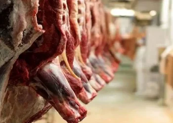 قیمت گوشت قرمز امروز ۲ اسفند ۱۴۰۴